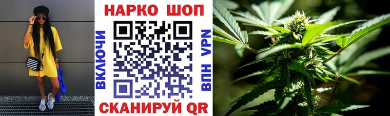 Наркота Кингисепп КОКАИН Гашиш A PVP МДМА Конопля АМФ