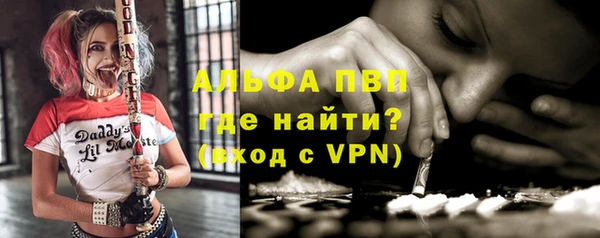 стаф Абаза
