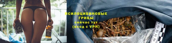 дживик Абинск