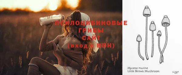 стаф Абаза