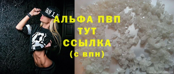стаф Абаза
