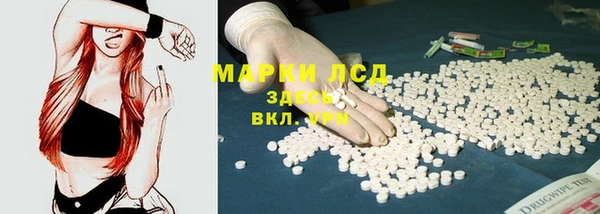 стаф Абаза