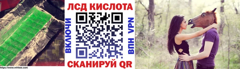 LSD-25 экстази кислота  где купить наркоту  Кингисепп 